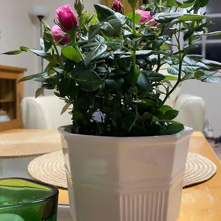 Manni Accommodatie bij particulieren *