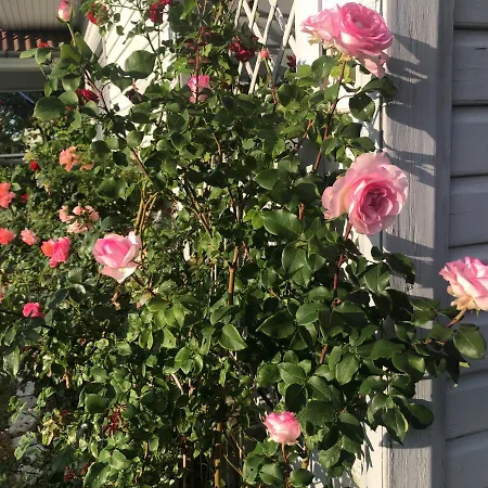 Accommodatie bij particulieren Manni