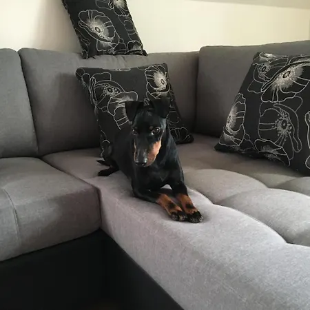 Quarto em Acomodações Particulares Manni Kuressaare