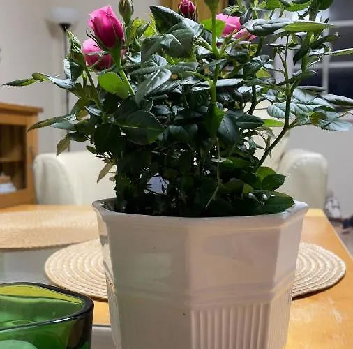 Manni Quarto em Acomodações Particulares *