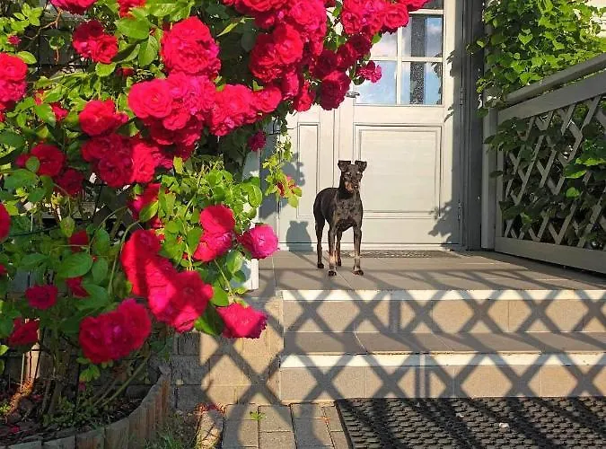 Quarto em Acomodações Particulares Manni