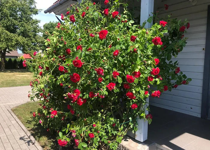 Manni Quarto em Acomodações Particulares *